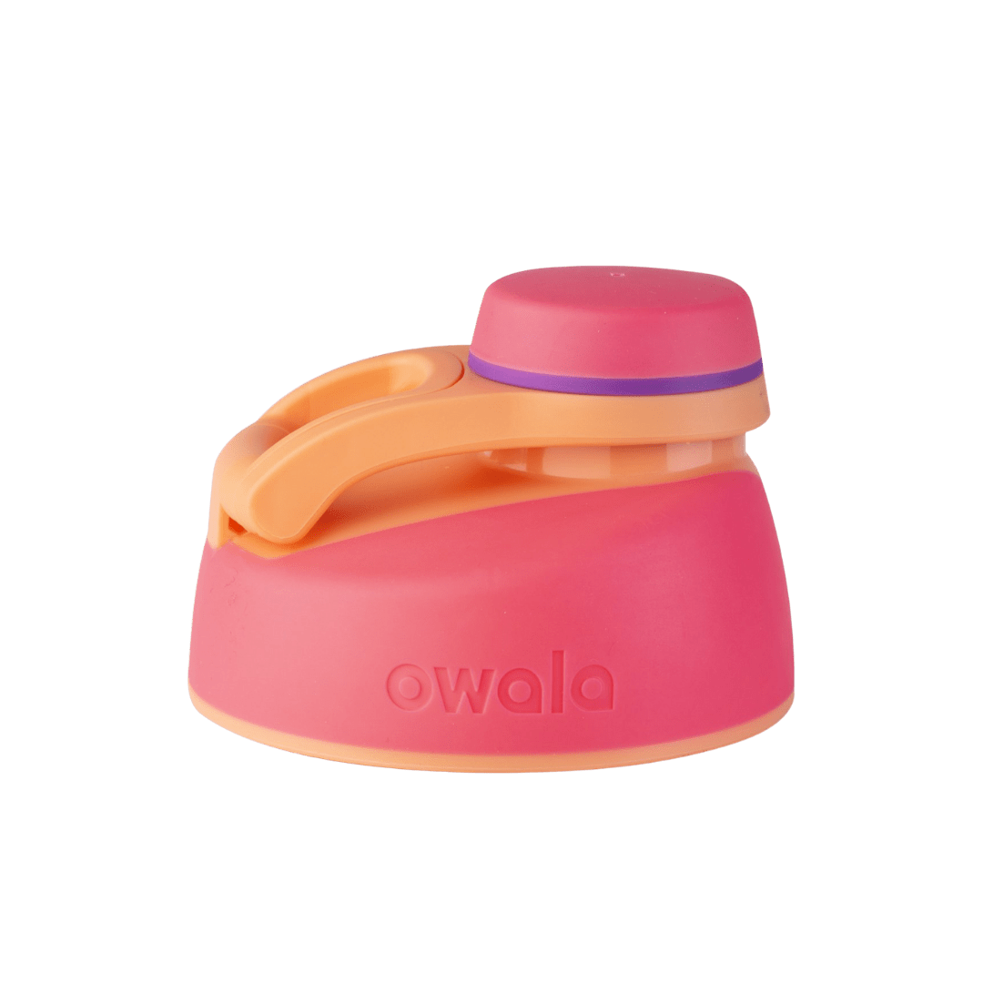 Replacement Lids RZW