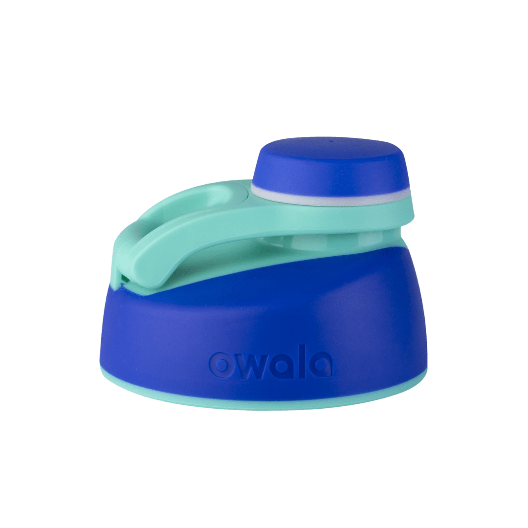 Replacement Lids RZW