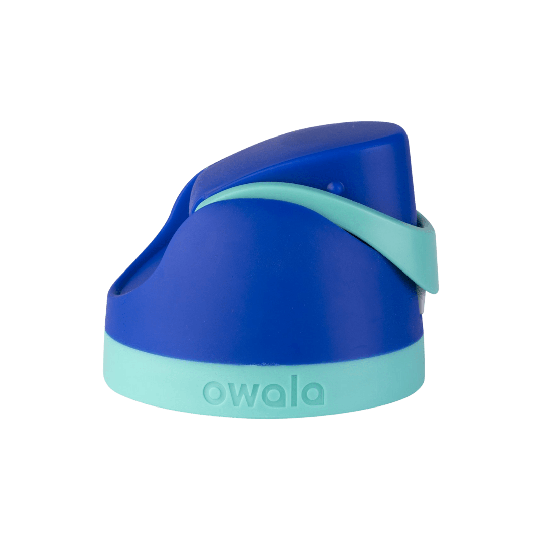 Replacement Lids RZW