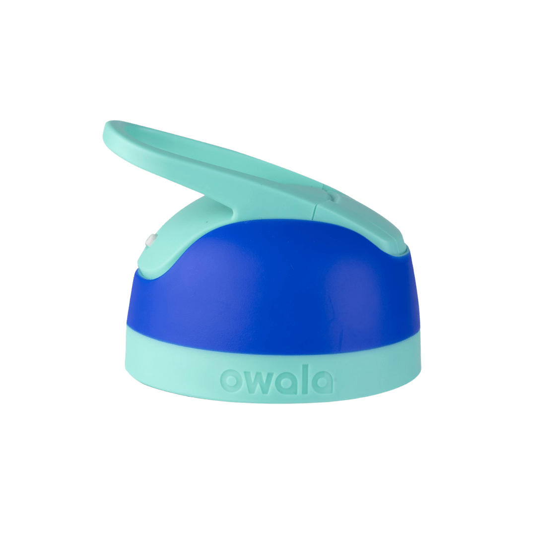 Replacement Lids RZW