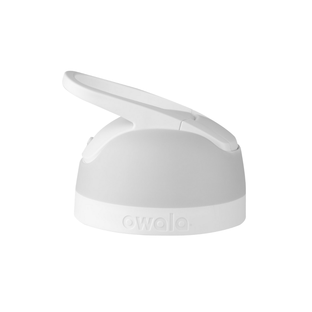 Replacement Lids RZW
