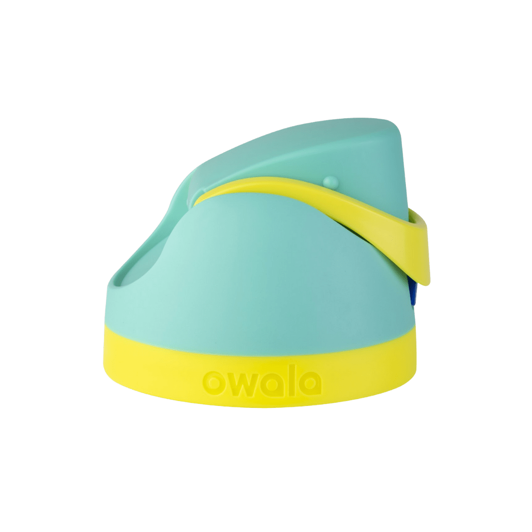 Replacement Lids RZW
