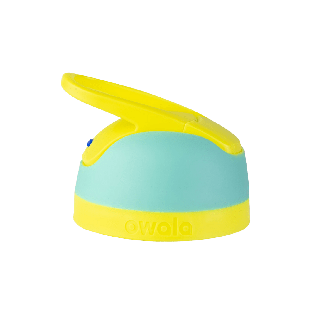 Replacement Lids RZW