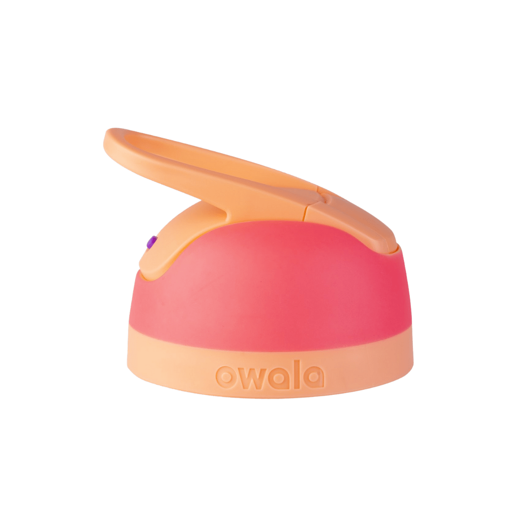Replacement Lids RZW