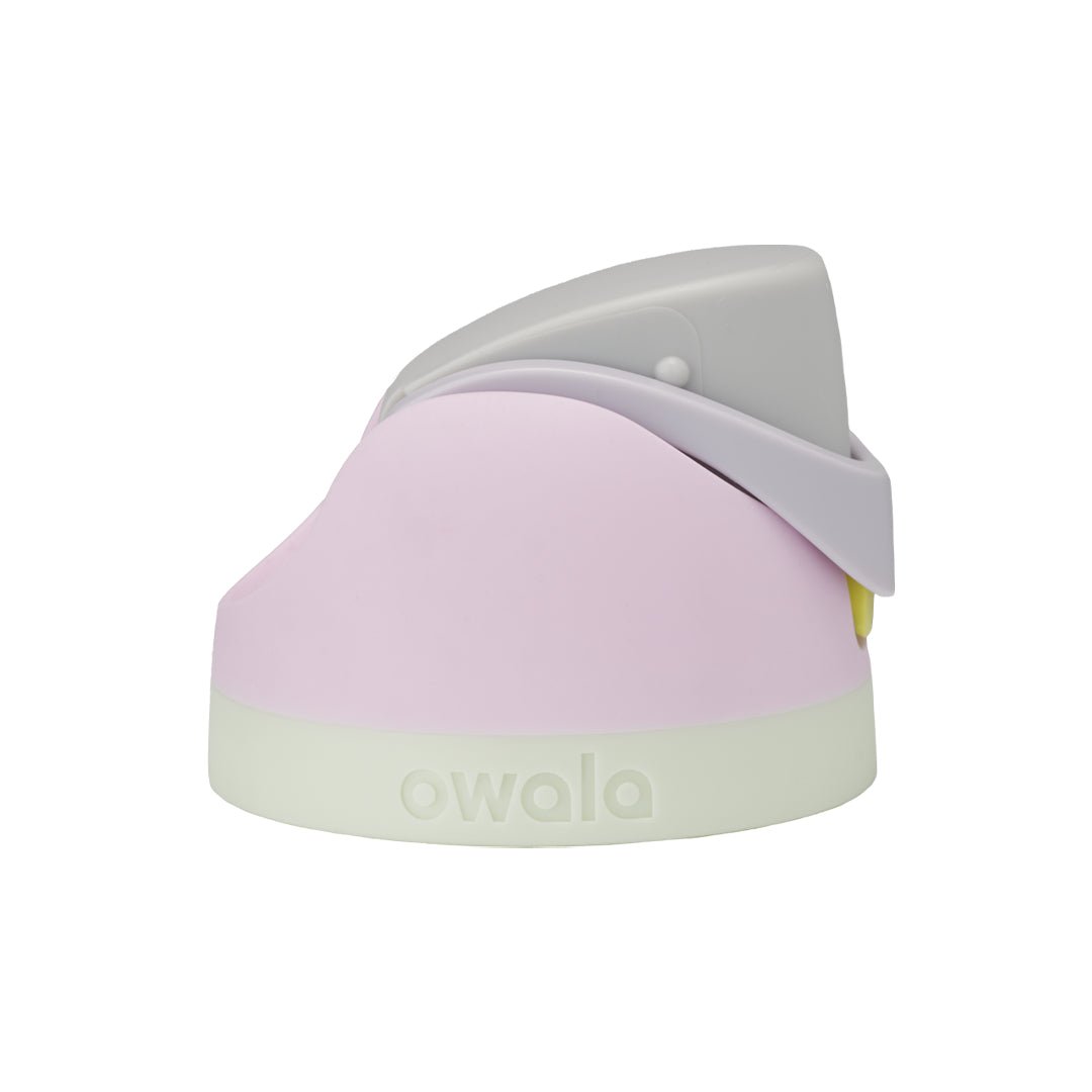 Replacement Lids RZW