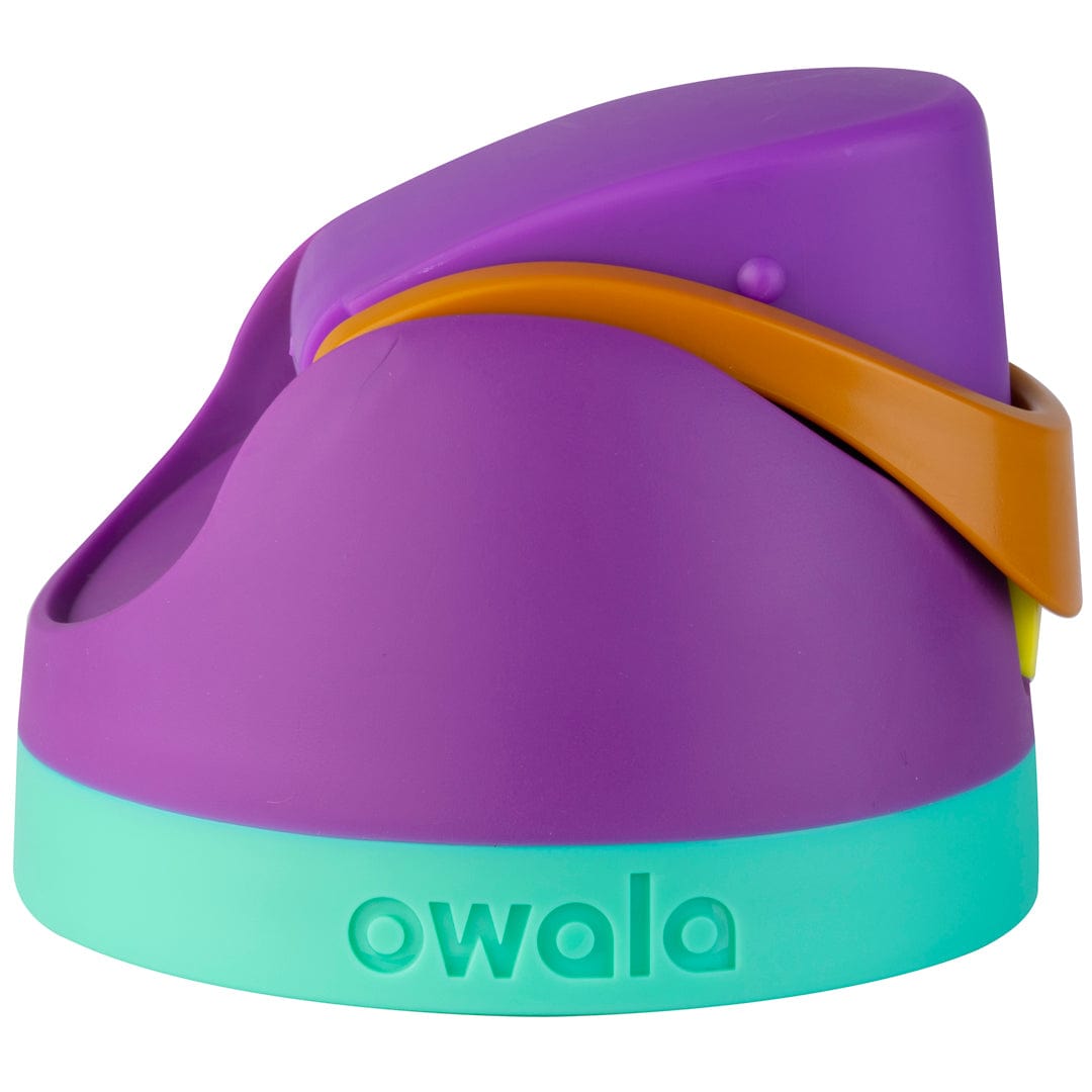 Replacement Lids RZW