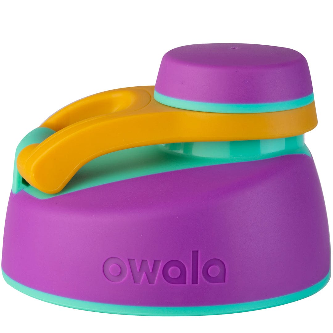 Replacement Lids RZW