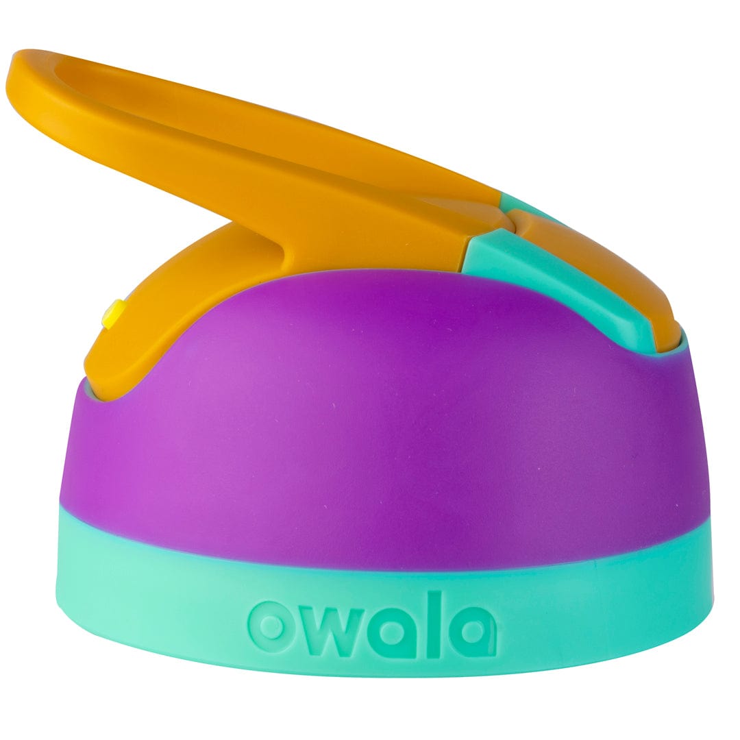 Replacement Lids RZW