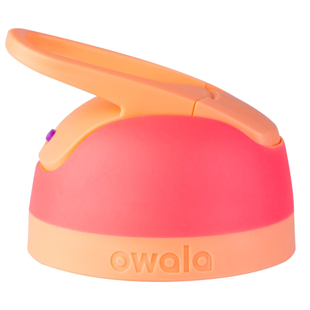 Replacement Lids RZW