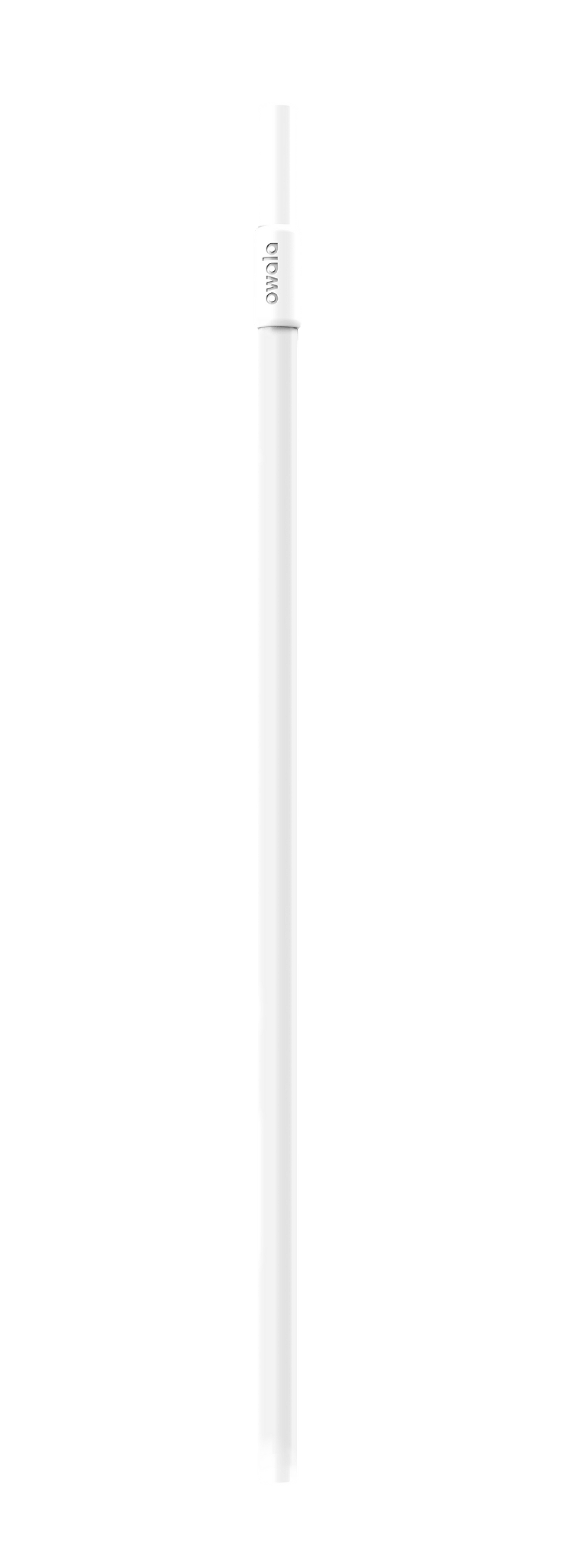 Replacement Straws 2GP