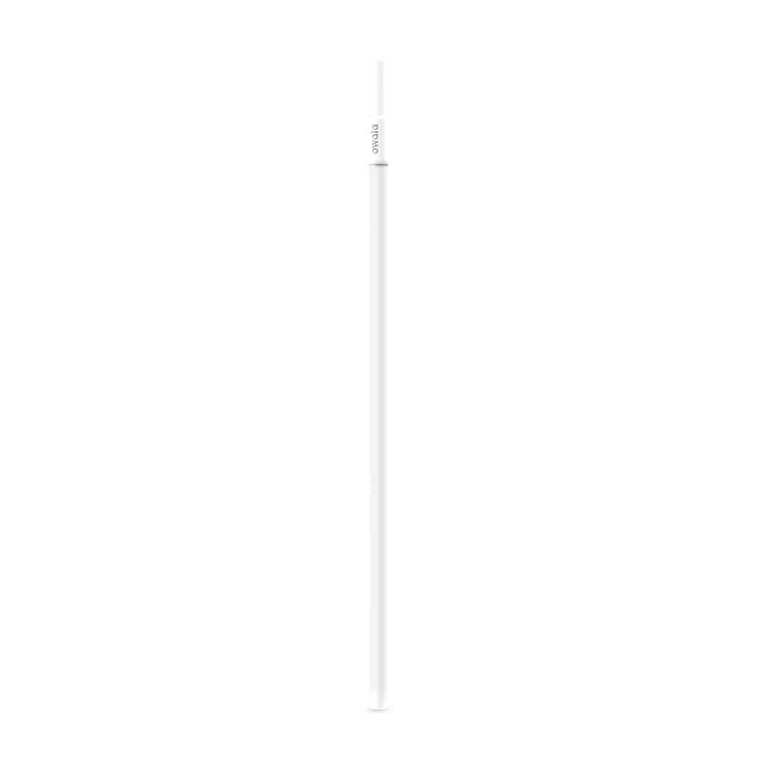 Replacement Straws 2GP