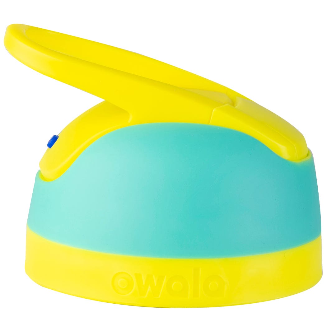 Replacement Lids RZW