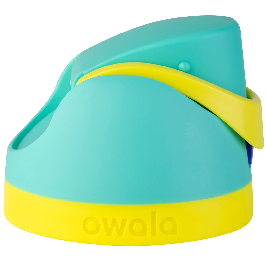 Replacement Lids RZW