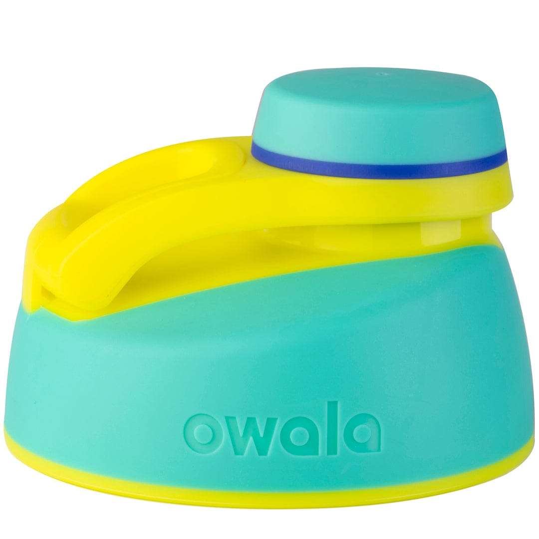 Replacement Lids RZW
