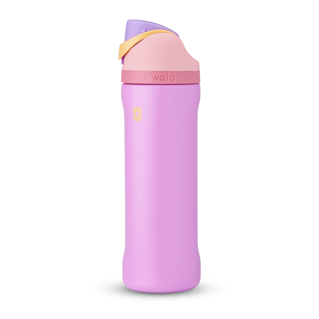 Disney Princess Collection WLM