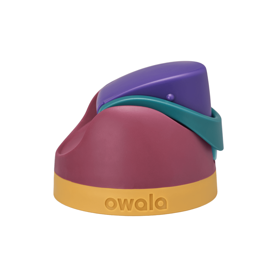 Replacement Lids RZW