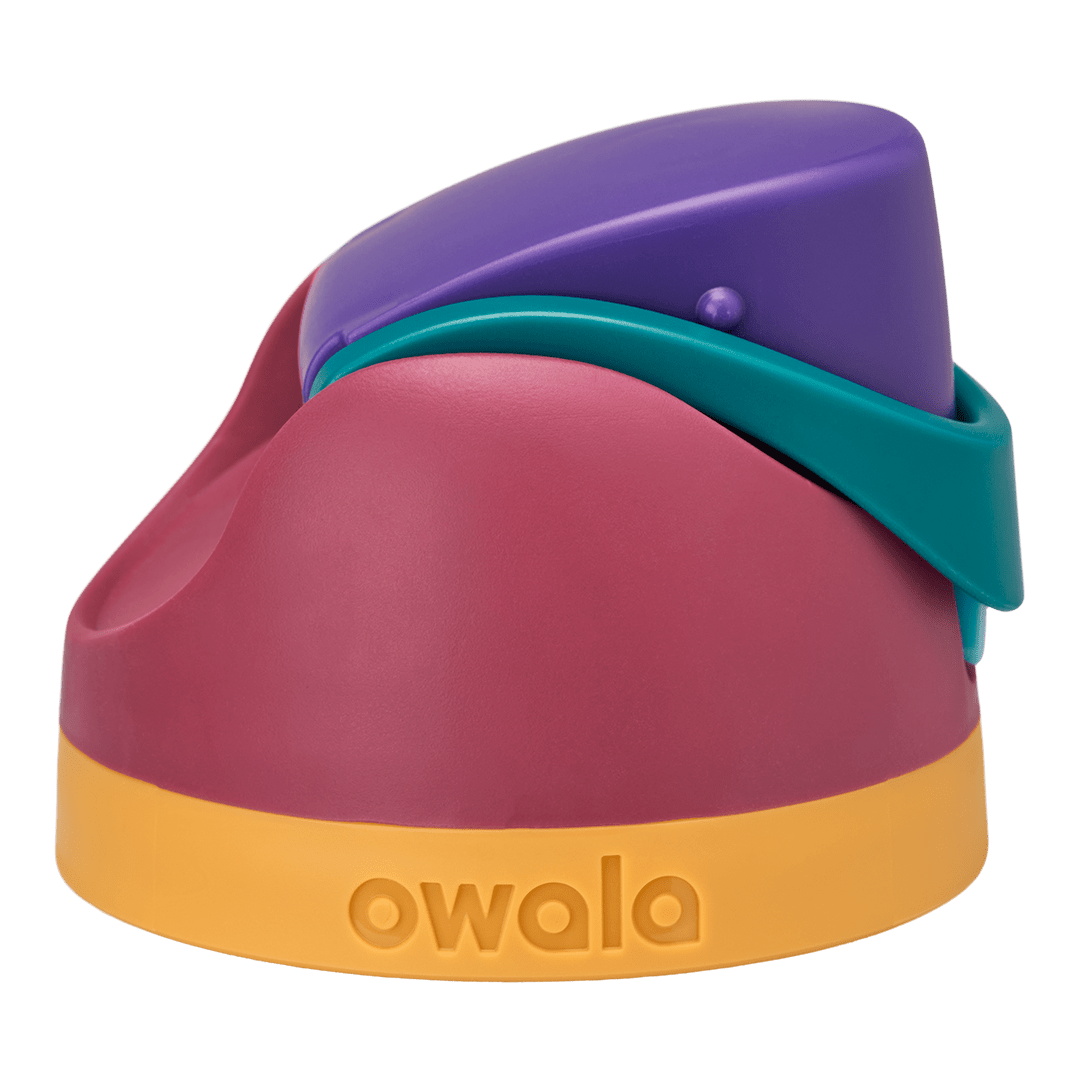 Replacement Lids RZW