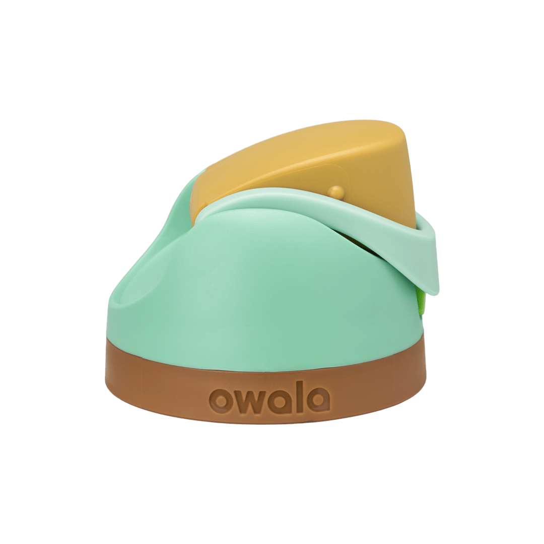Replacement Lids RZW