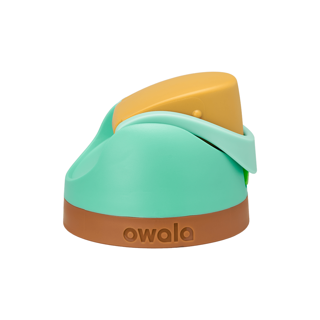 Replacement Lids RZW