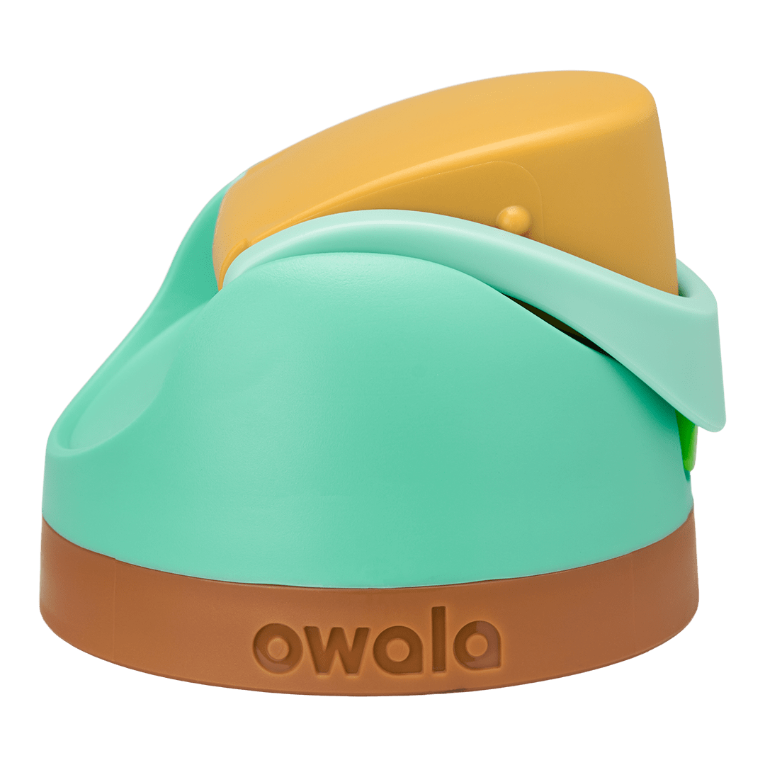 Replacement Lids RZW