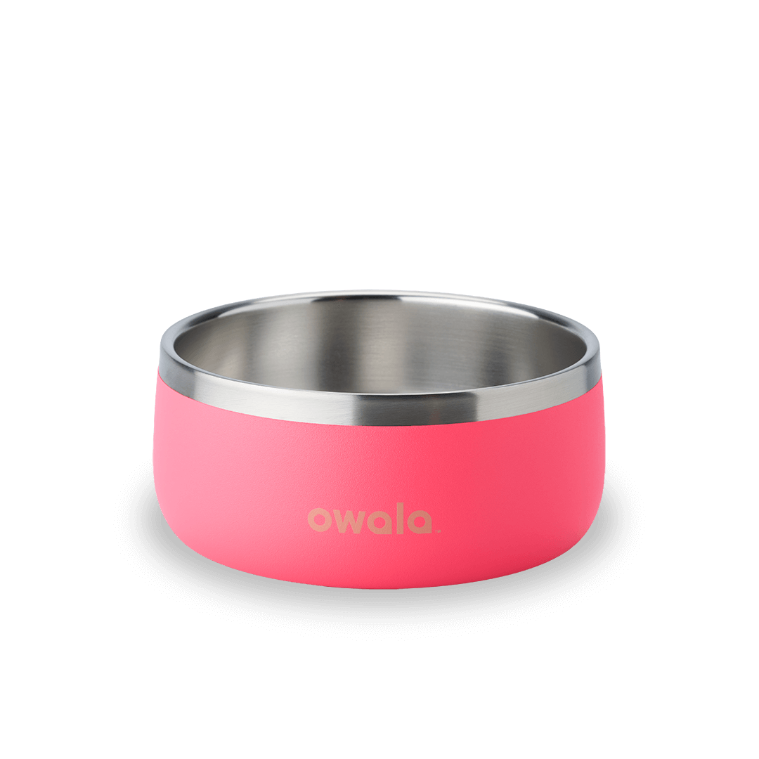 Pet Bowl 26G