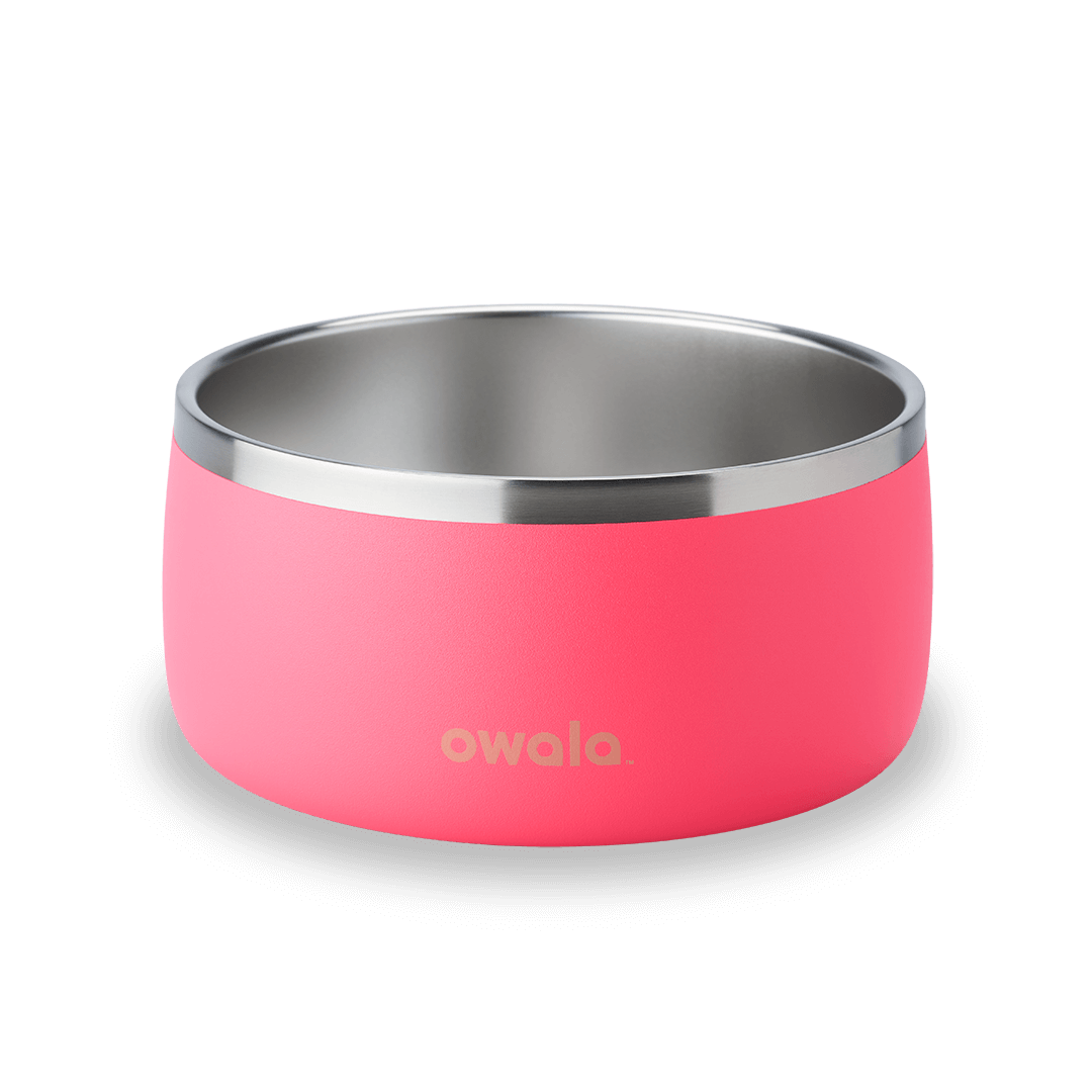 Pet Bowl 26G
