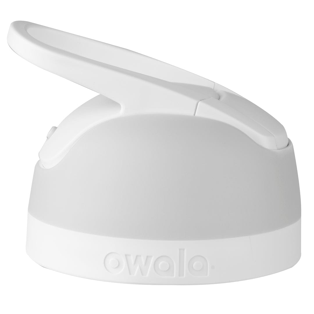 Replacement Lids RZW