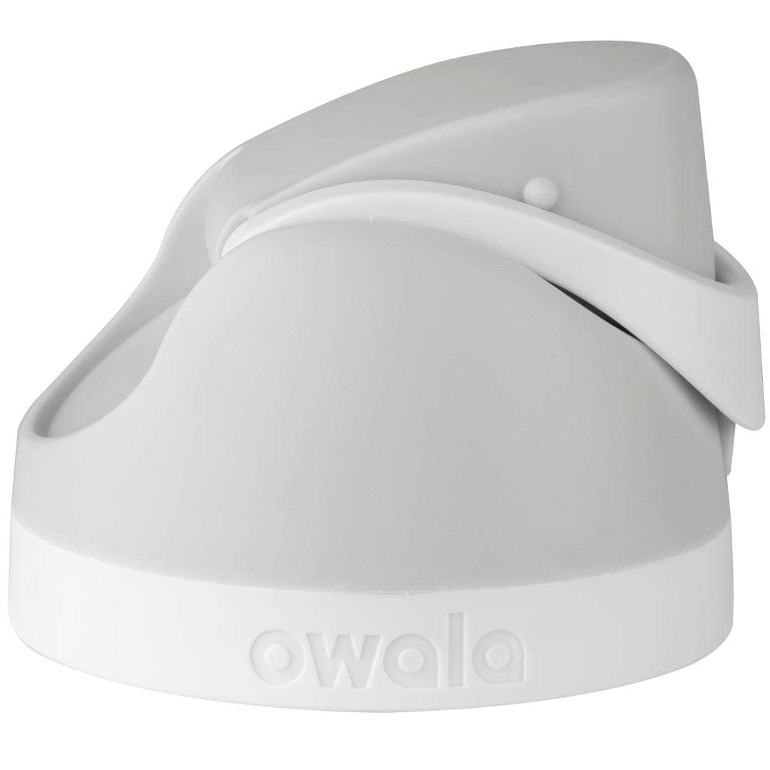 Replacement Lids RZW