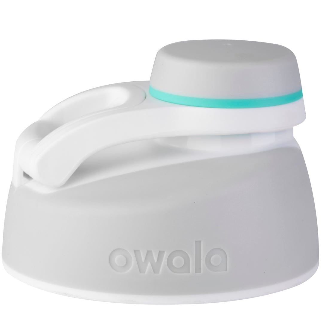 Replacement Lids RZW