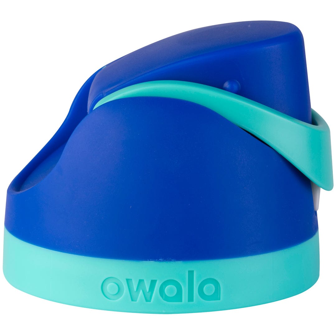 Replacement Lids RZW