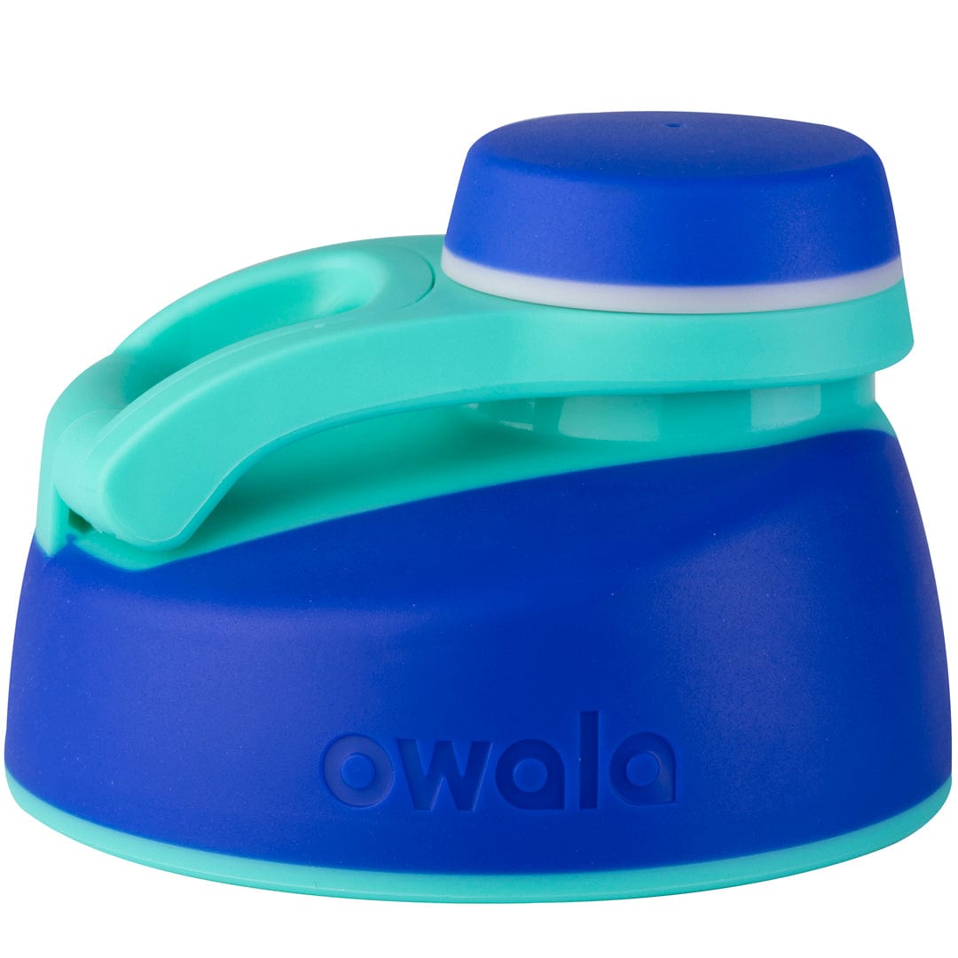 Replacement Lids RZW