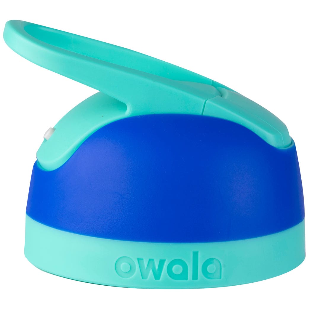 Replacement Lids RZW