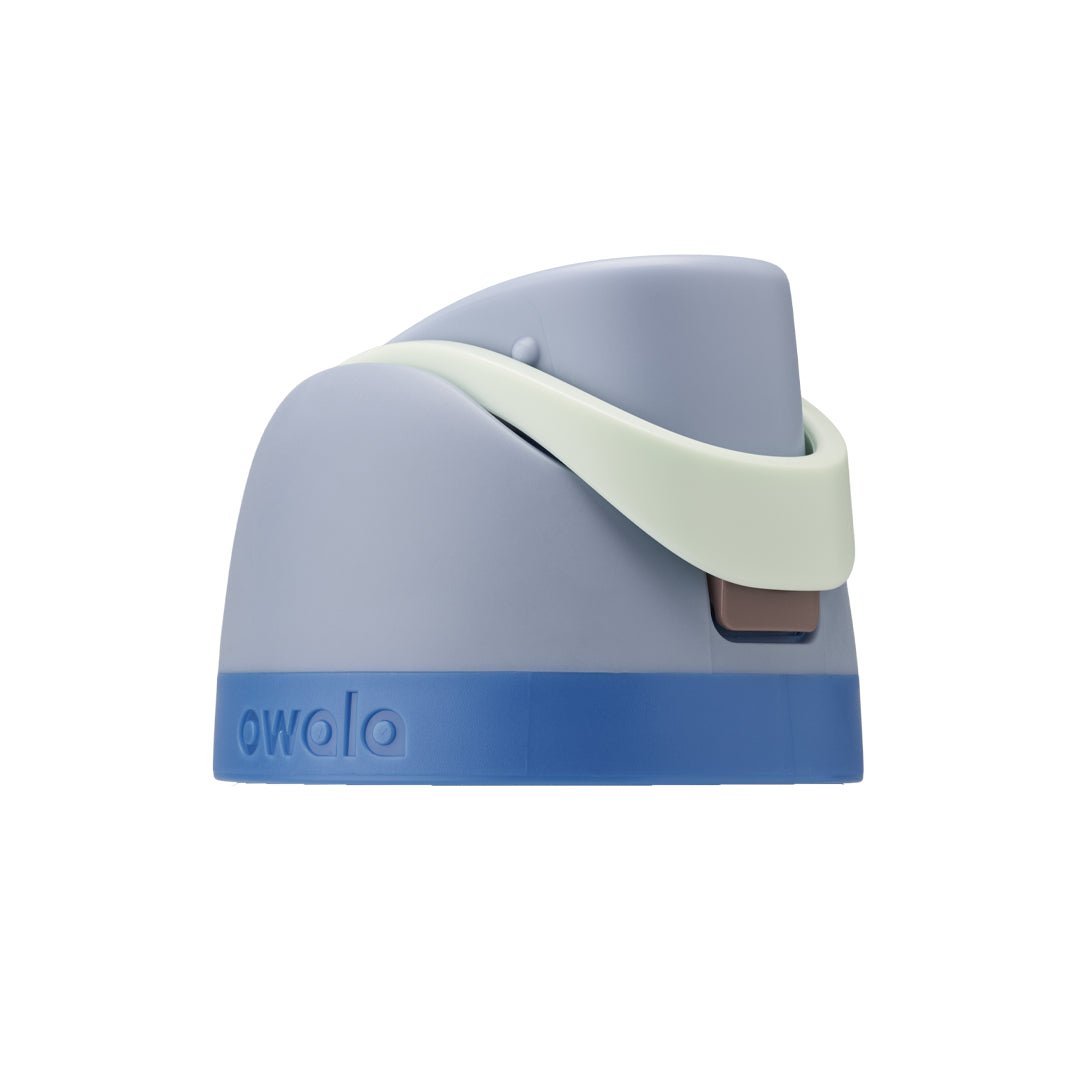 Replacement Lids RZW