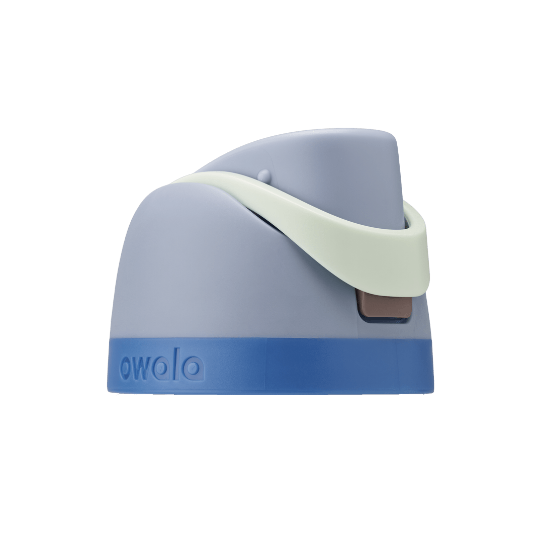 Replacement Lids RZW