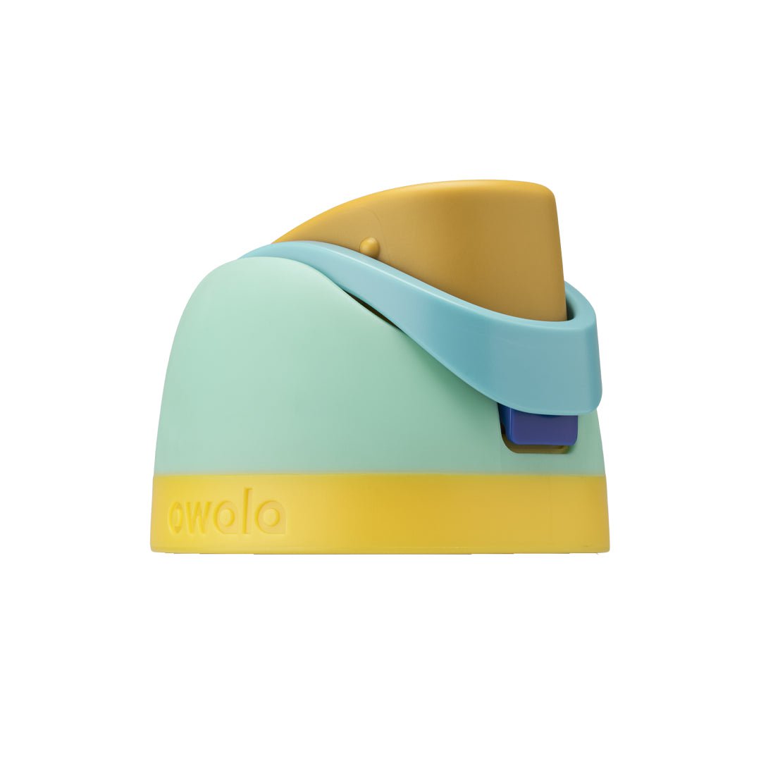 Replacement Lids RZW