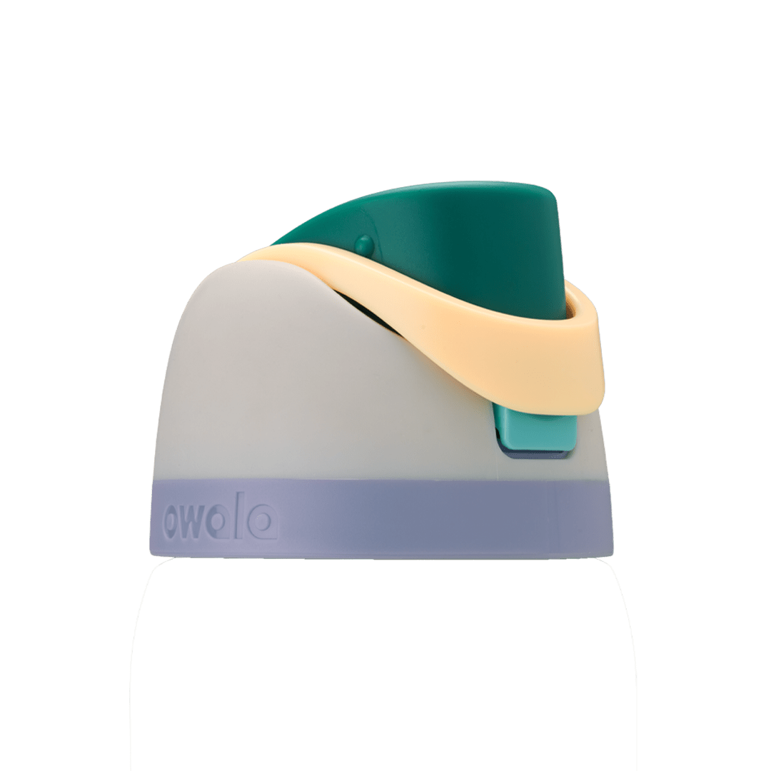 Replacement Lids RZW